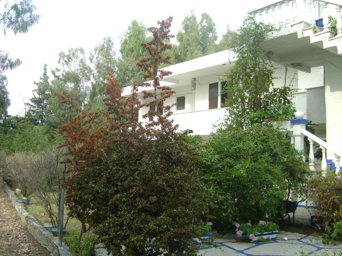 Villa Zoi Thronion 외부 사진
