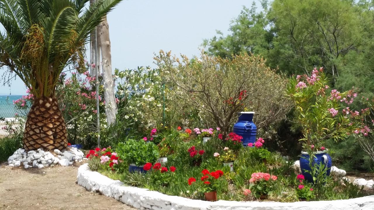 Villa Zoi Thronion 외부 사진